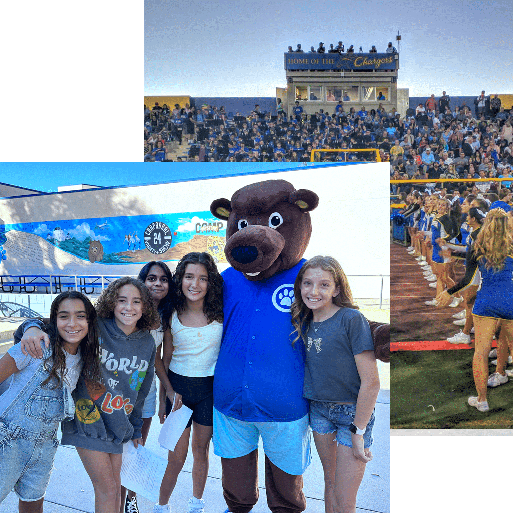 about about THE Foundation